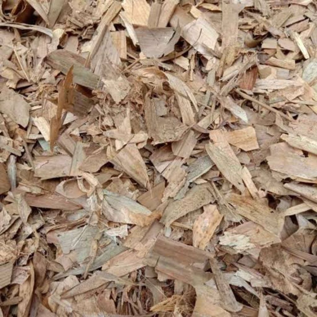 Daun Bambu Kering