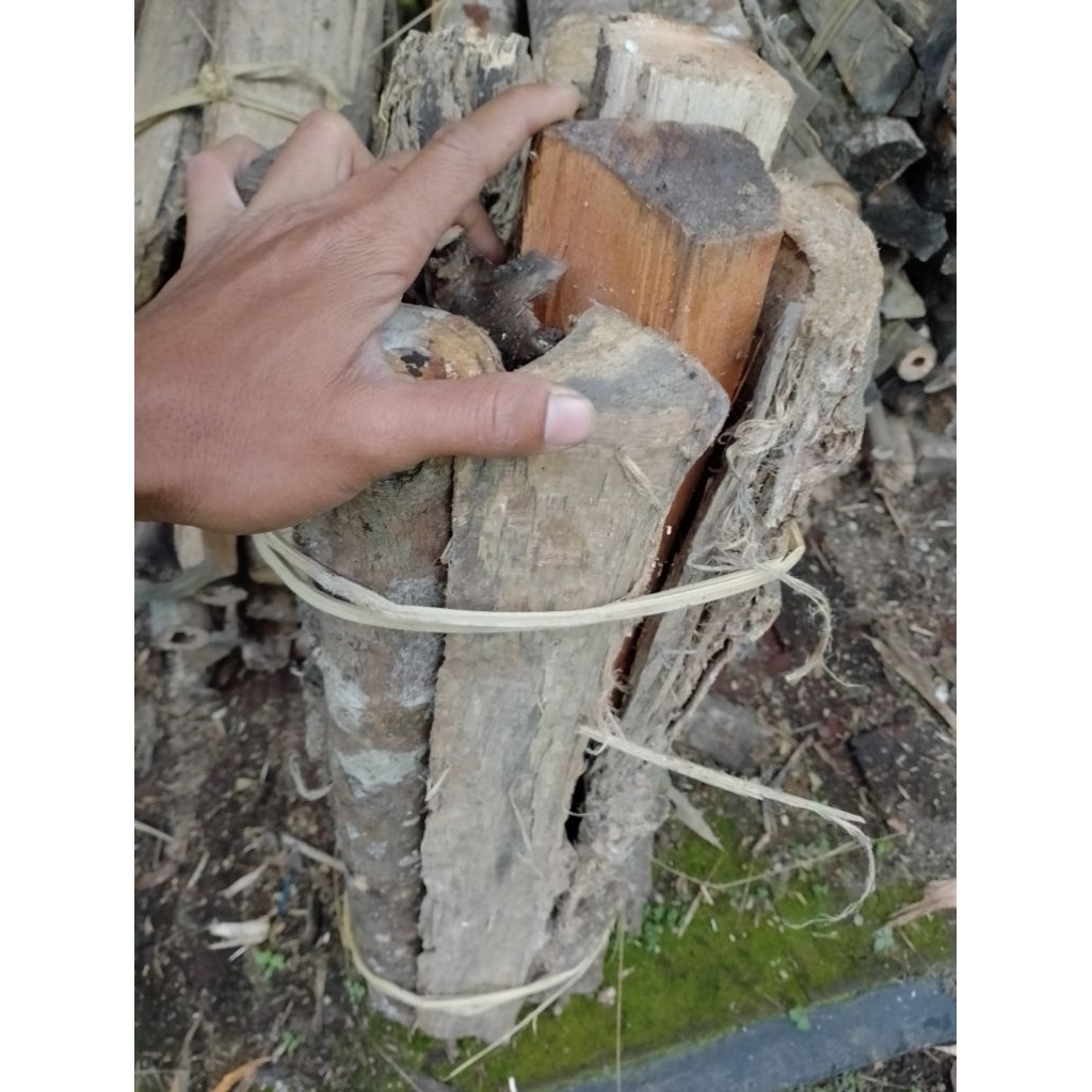 Kayu Bakar Api unggun