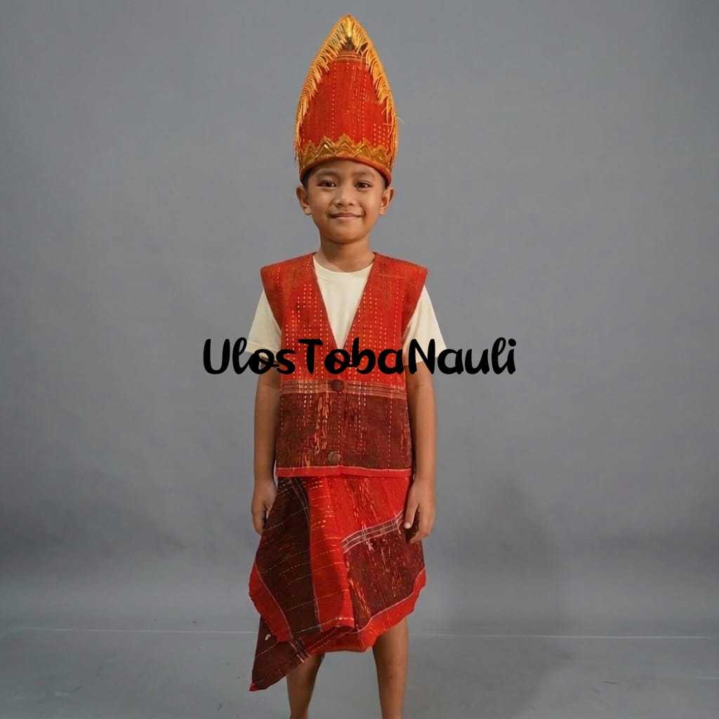 Paket 3 Kostum Adat Batak / Rompi - Ulos - Topi / Anak Laki-laki / Etnik Batak / Kostum Tradisional