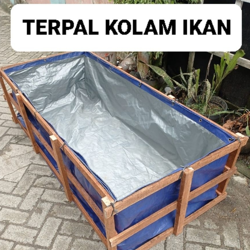 Terpal kolam ikan 100x100x50 A5 kolam terpal budidaya