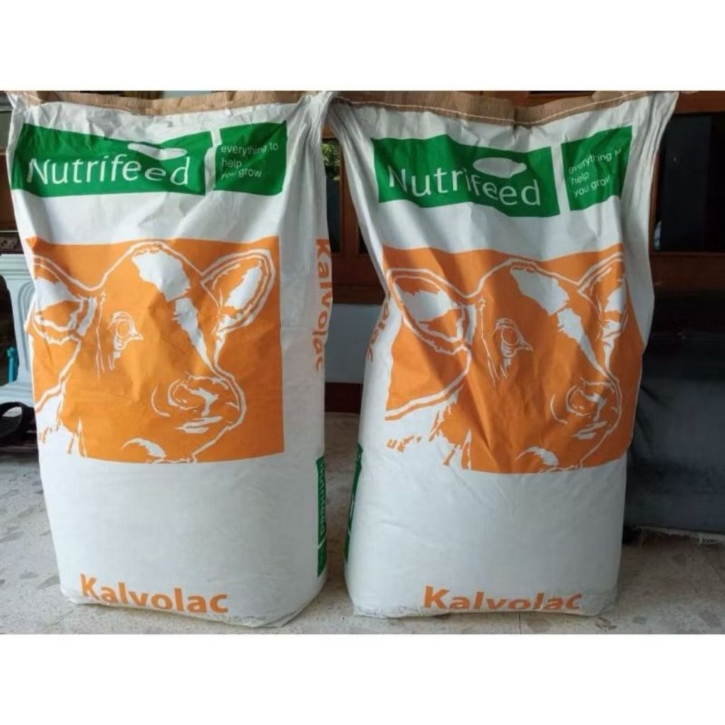 KALVOLAC Kalvolac Pengganti Susu Induk Untuk Anak Kambing Cempe Pedet