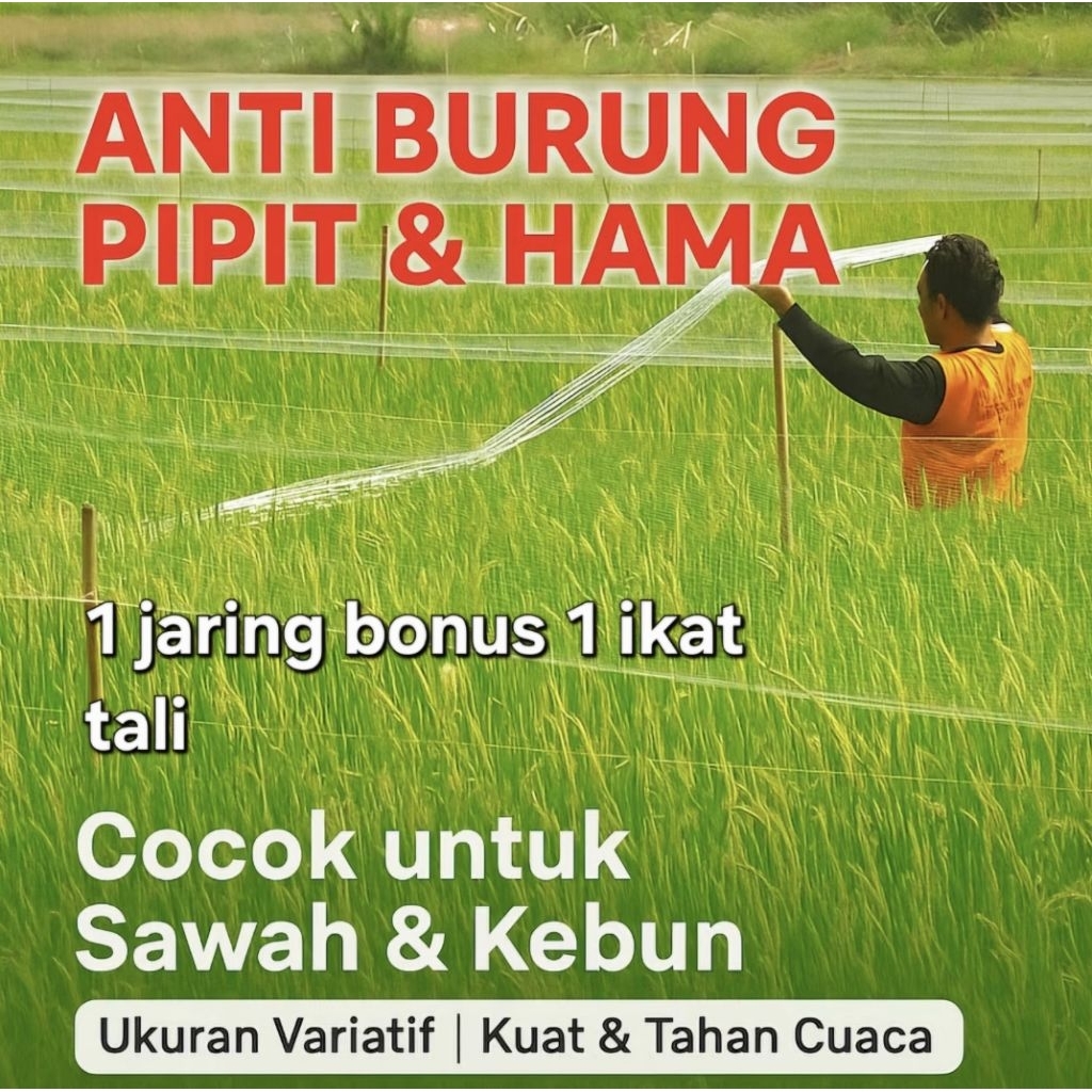 Jaring Burung Sawah Senar Tebal  0.20mm Lebih Awet & Kuat Lebar 5m  Lubang 3 Inchi 70Md/80Yds   - Ja