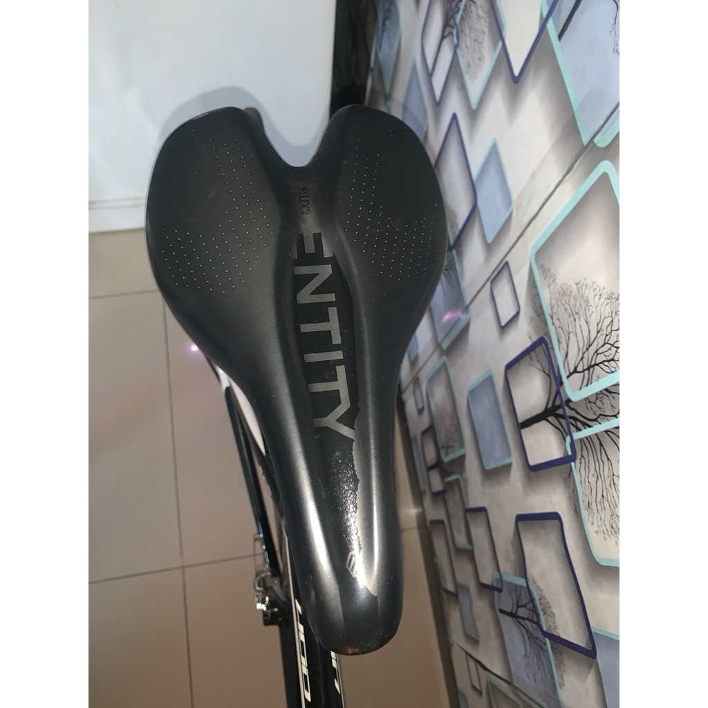 Saddle entity flux 2