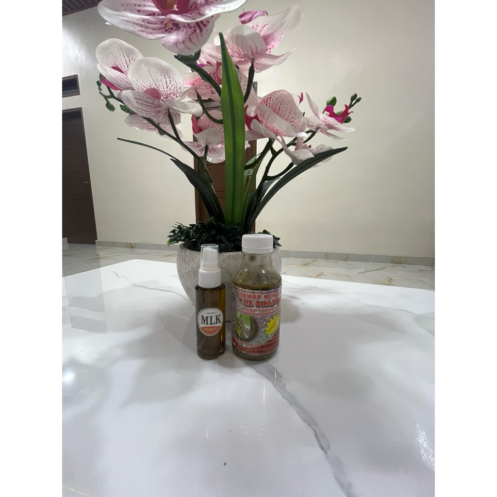 Paket komplit Gacor Minyak Lintah & Tawar Mencibut Karo