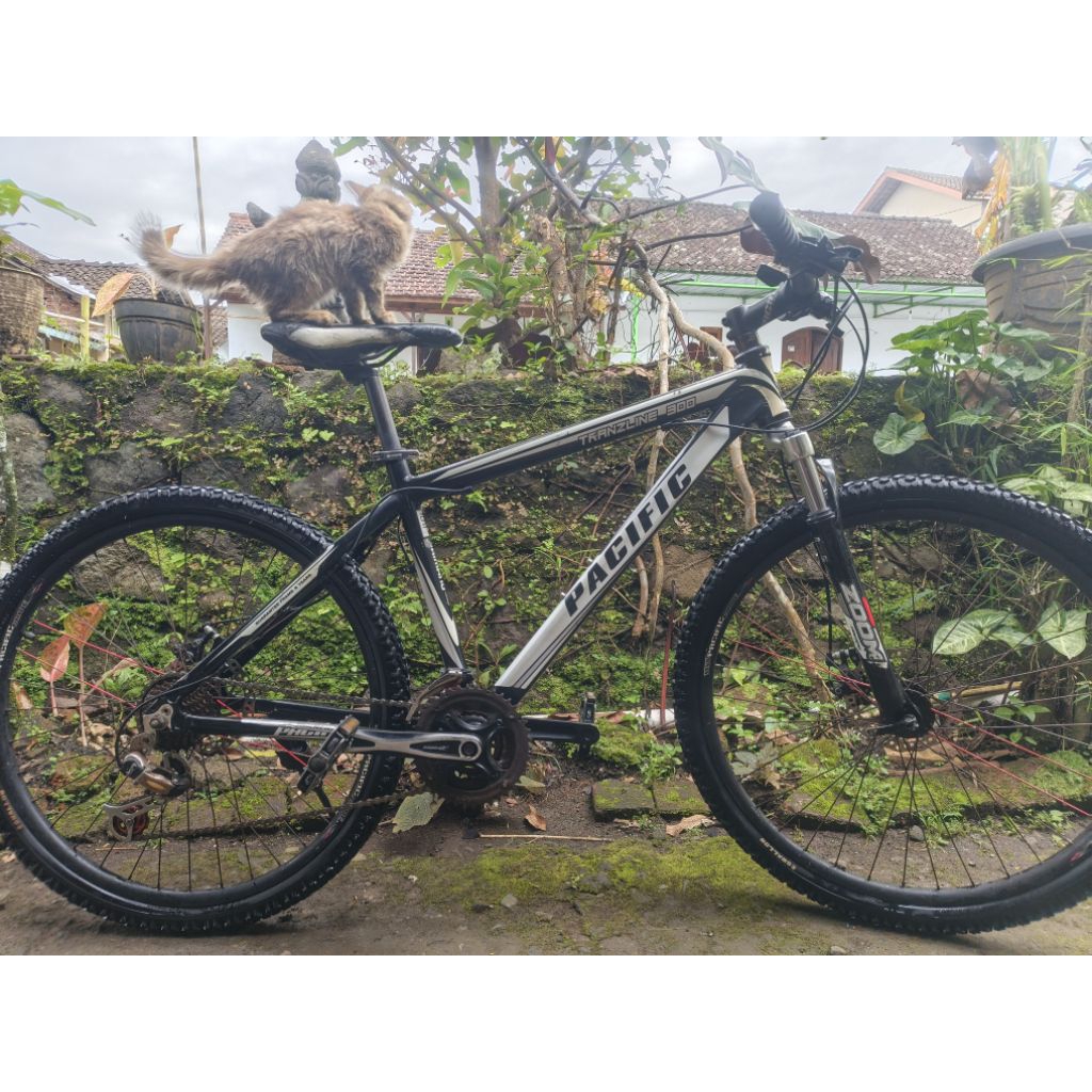 sepeda gunung mtb pacific tranzline 300 second bahan aluminium alloy
