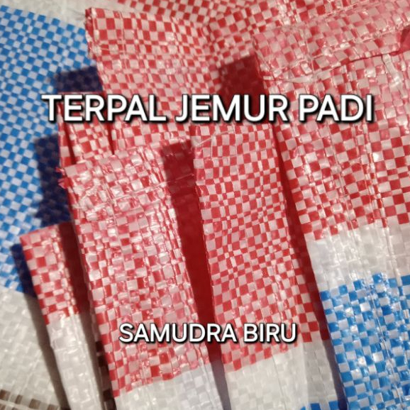 Terpal Jemur Padi 6x8 Terpal Hamparan Jagung