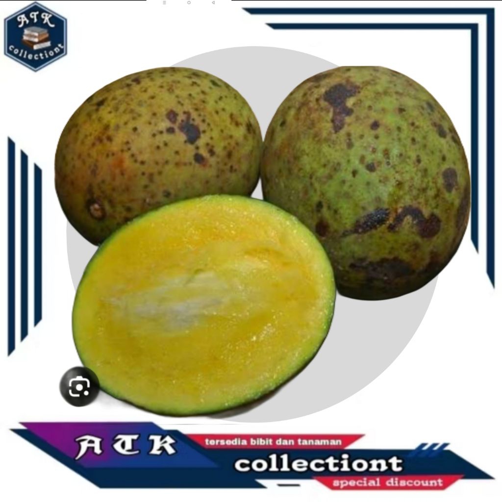 buah pakel / buah limus / buah bacang 1 kg