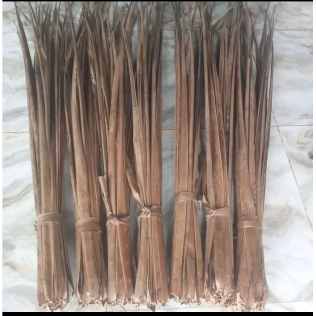 Daun Kelapa Kering atau Daun Danur kering kualitas terbaik