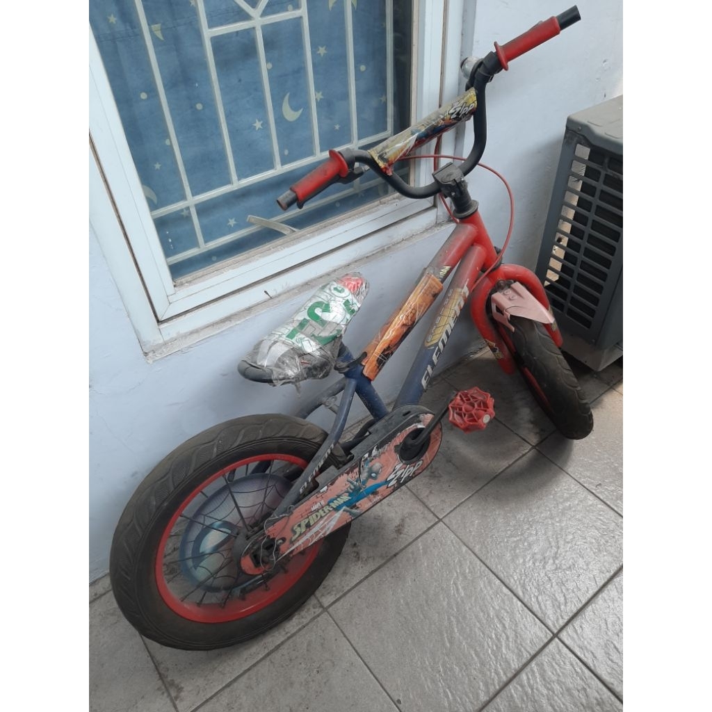 Sepeda Anak Element