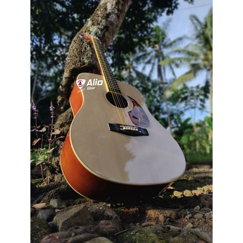 Gitar Takamine SMG