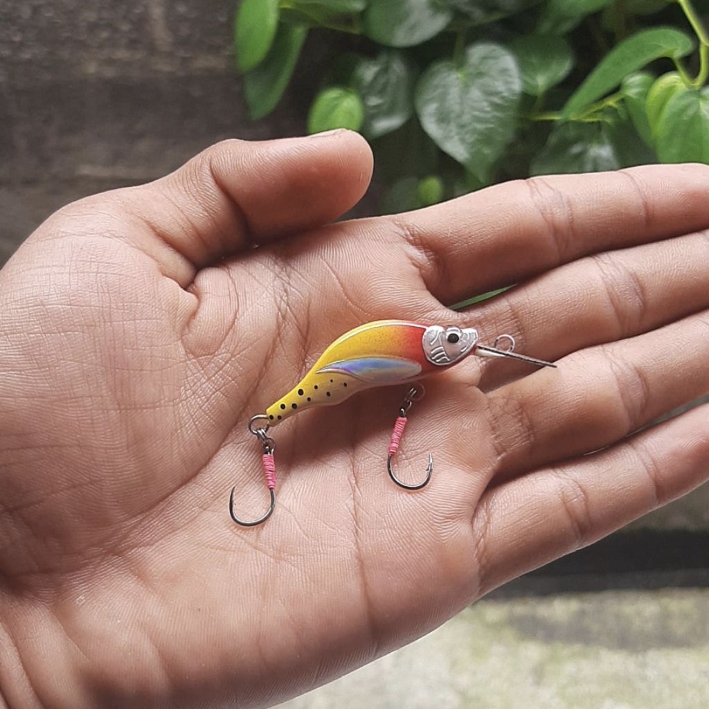 Minnow 4cm || Minnow Masheer || Minnow Casting