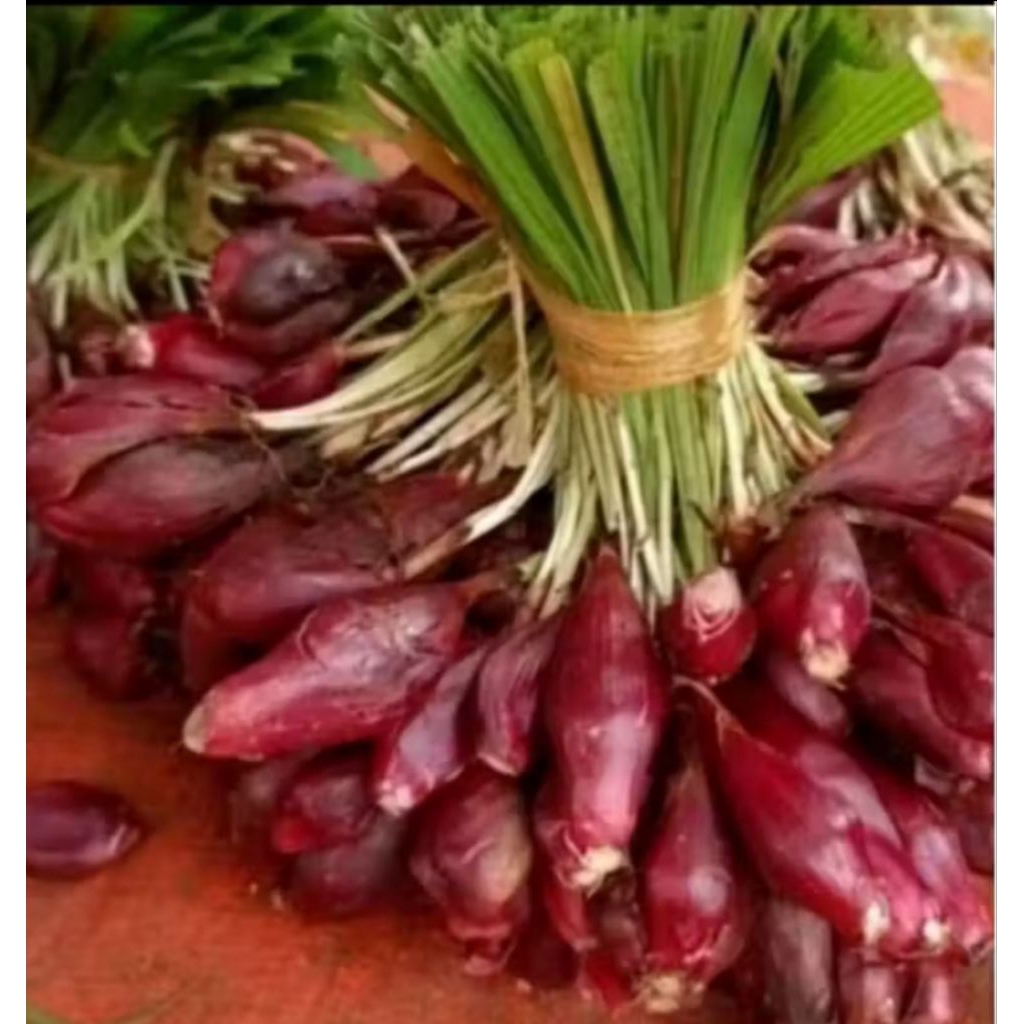 bawang dayak segar 1kg