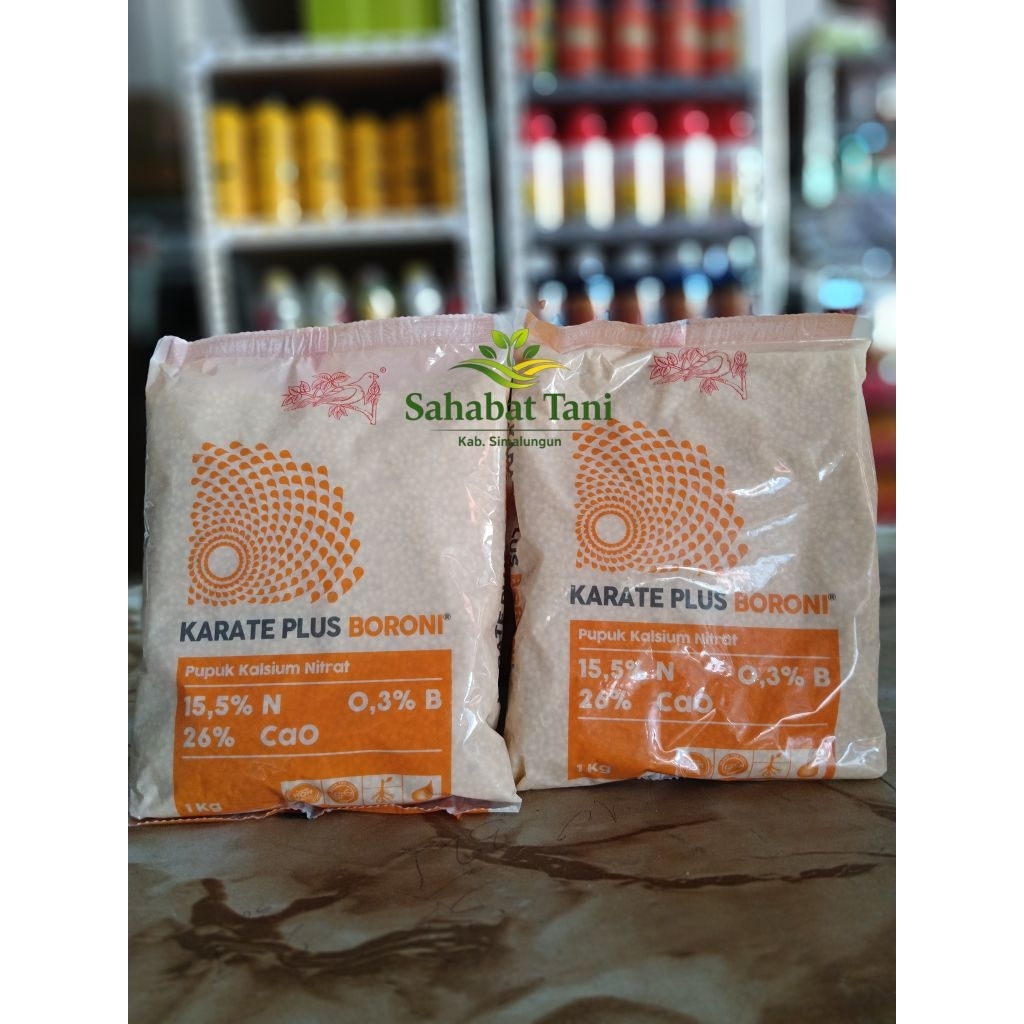 KARATE PLUS BORONI 1kg