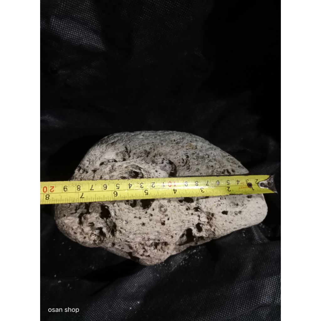 batu apung ori (bukan hebel) branjangan jumbo