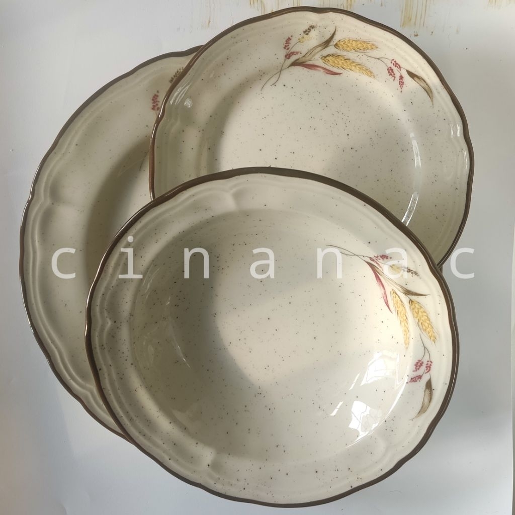 Dinnerware Soup Salad Plate Stoneware Wheat Sprinkle