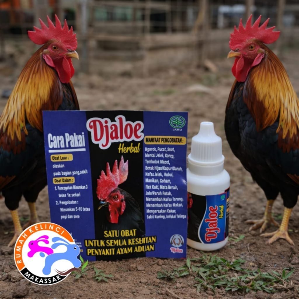 DJALOE HERBAL Jamu Ayam Aduan Obat Ayam 15ML