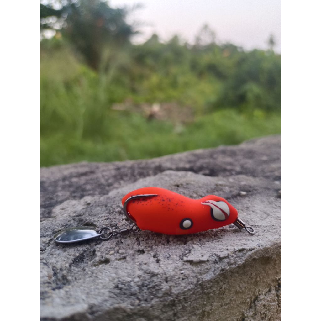 sofrog  murah ukuran 4 cm