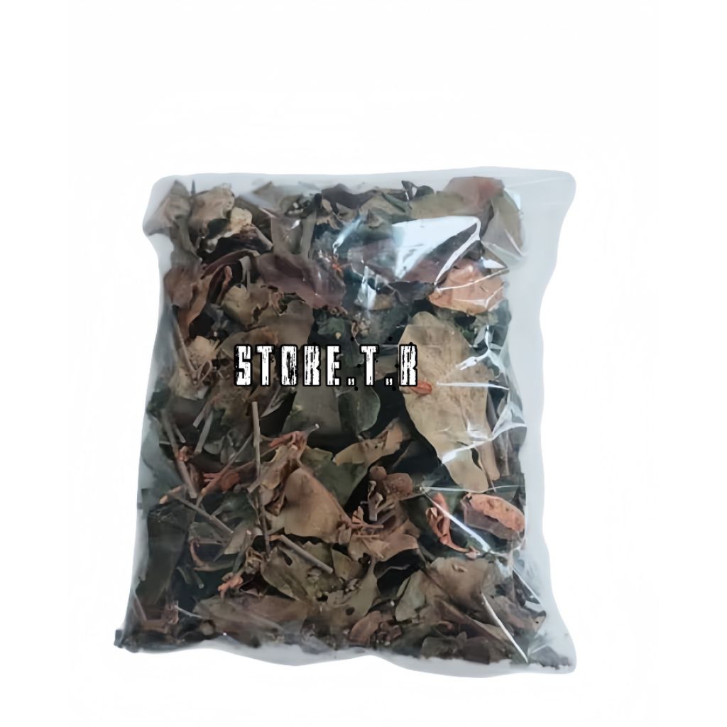 Benalu Kopi Kering Asli / Murni