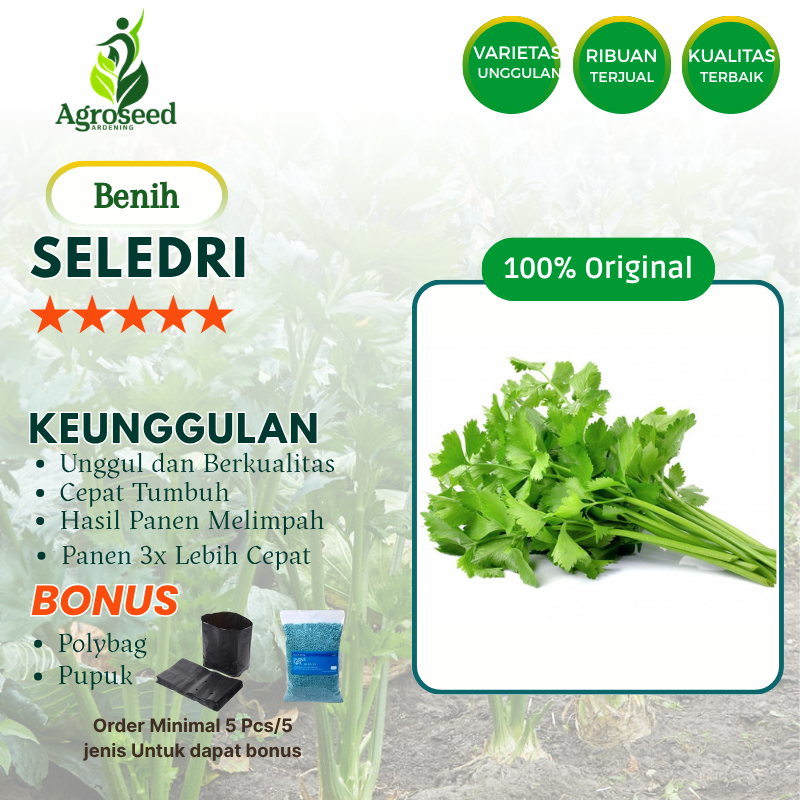 30 Benih Seledri Bibit Unggul Hidroponik