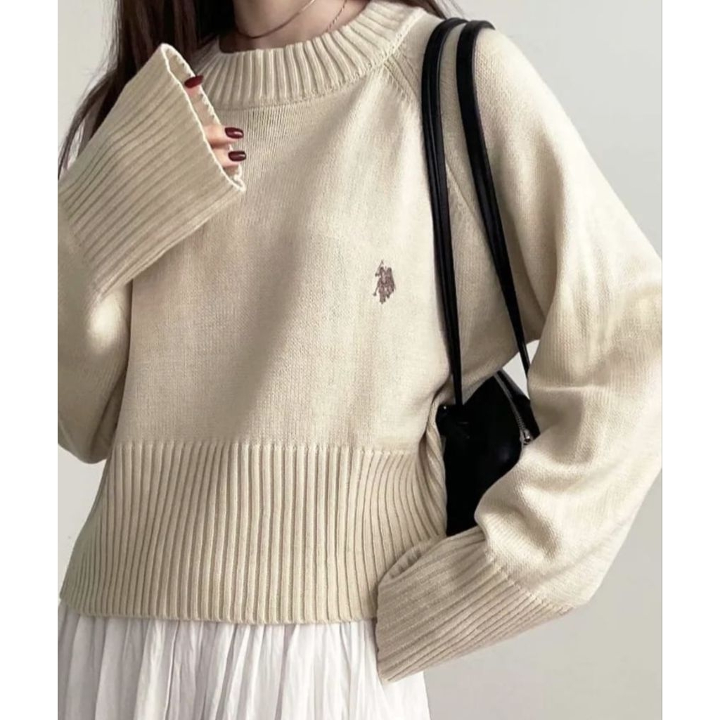 U.S Polo Assn Sweater