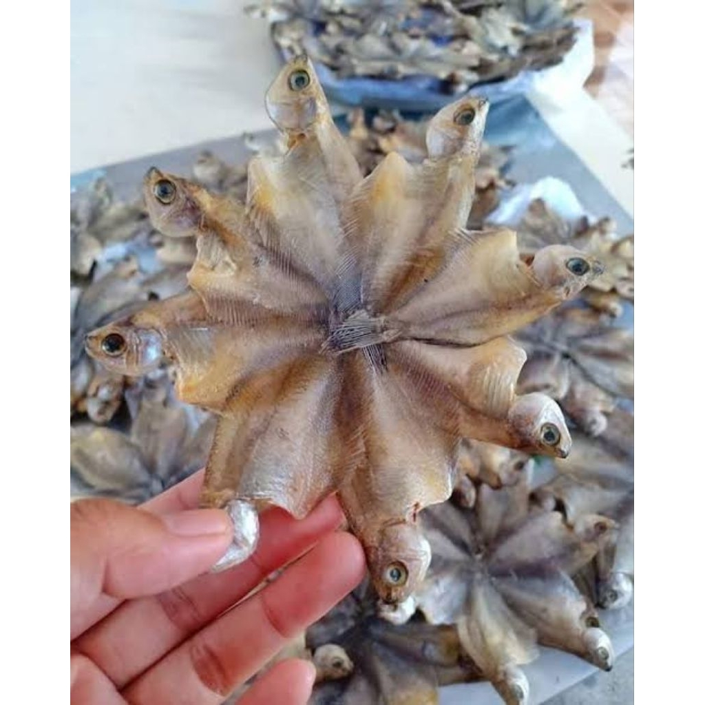 ikan asin sepat Binta sepat kipas 500gram 1kg