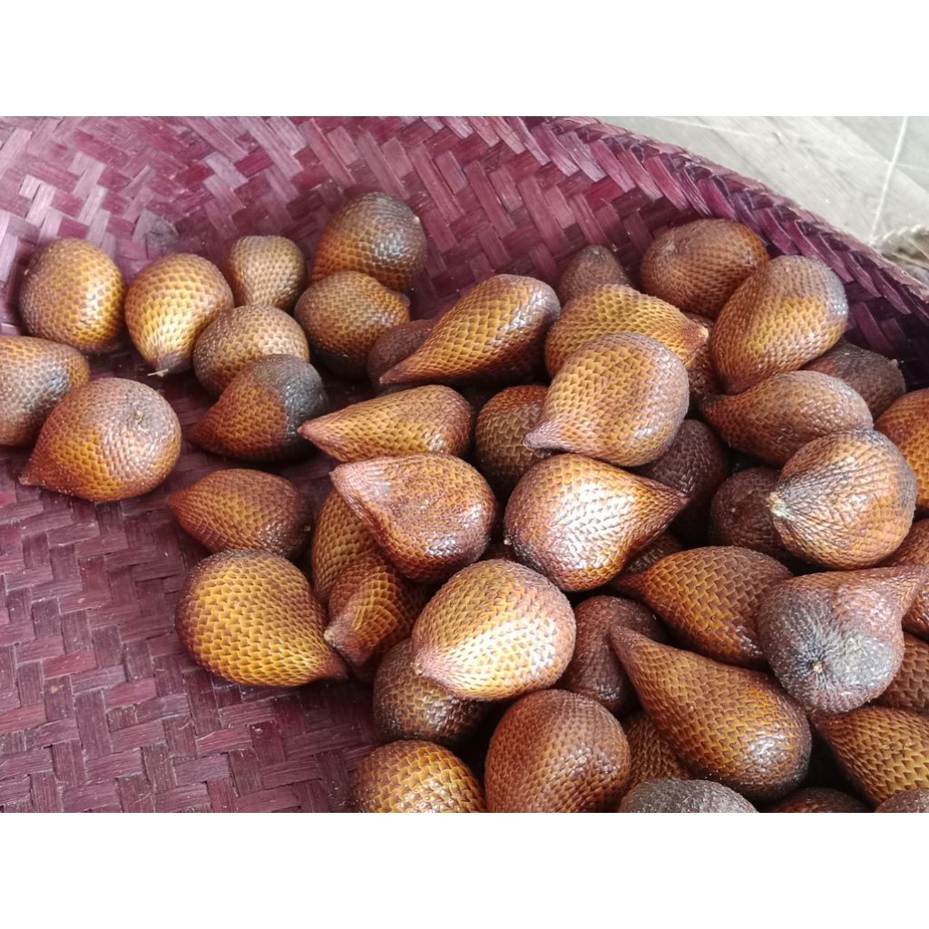 Salak Gula Pasir Asli Bali Super Besar 1 Kg Manis/Daging Tebal