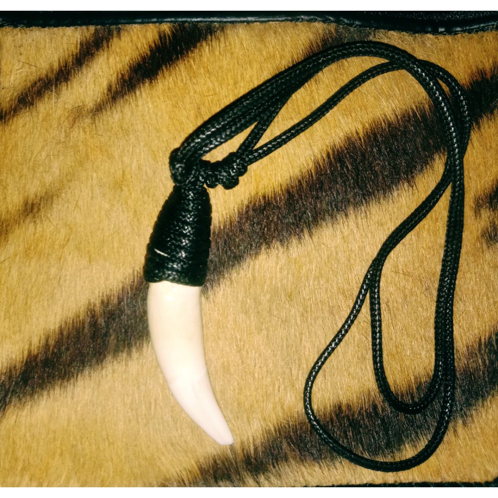 liontin taring hm  ori kalung antik etenik