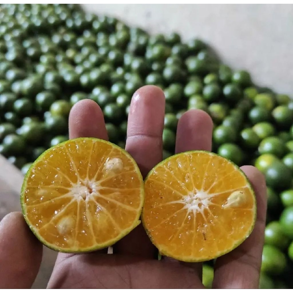 JERUK PERAS SEMBORO 1 KG DENGAN KUALITAS NOMER 1