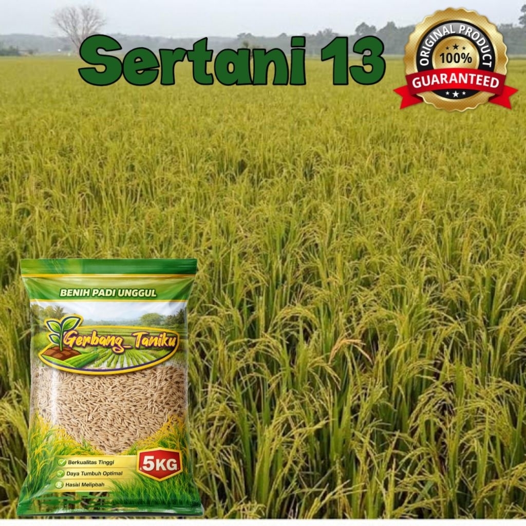 Benih/Bibit padi Sertani13 Kemasan 5kg kualitas supper unggul gratis ongkir Cod