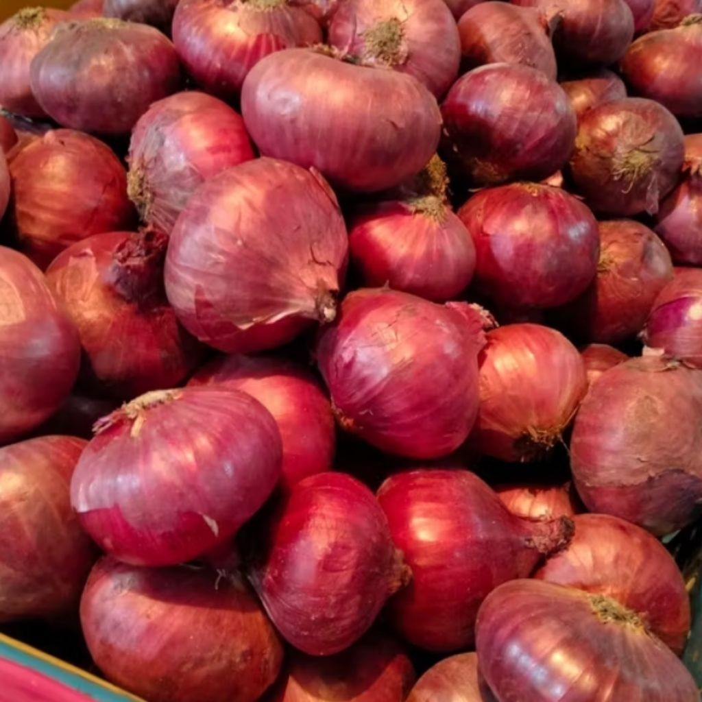 Bawang merah besar super 1 kg murah|bawang merah