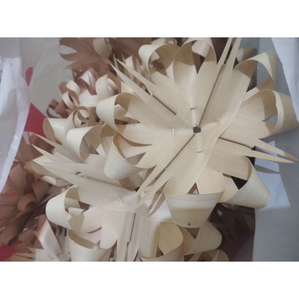 Canang sari busung ibung 1 gantung isi 100