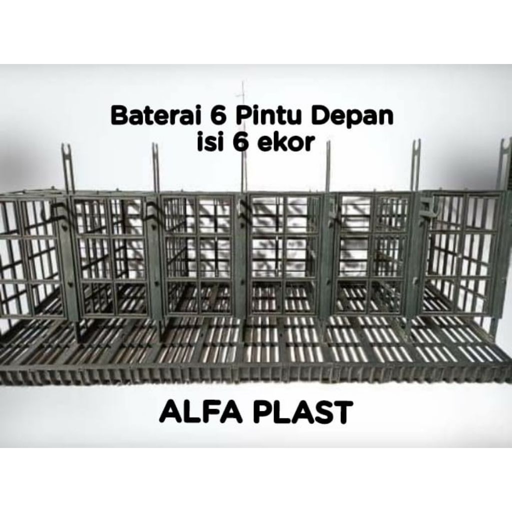 Kandang ayam petelur pintu 6 plastik