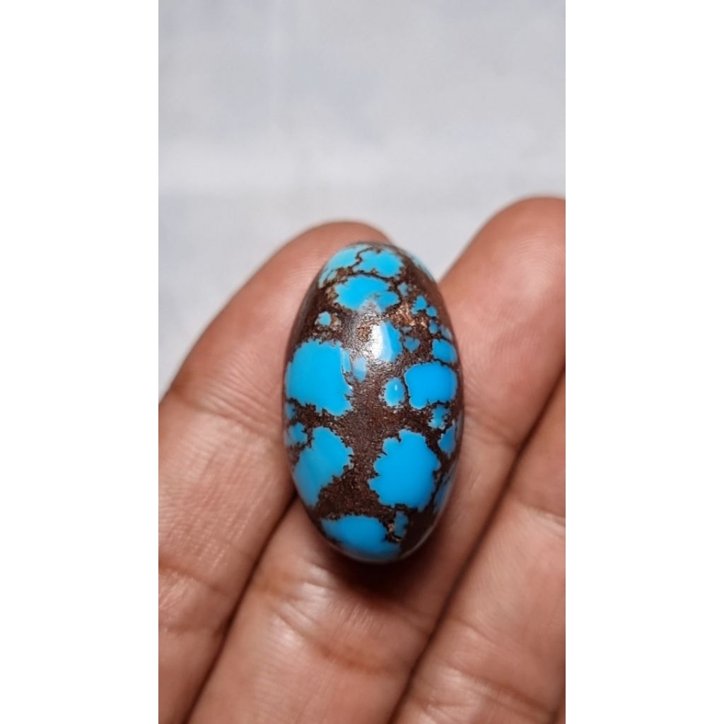 natural pirus mesir ceplok kuro