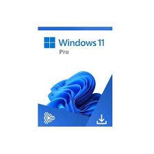 Key Lisensi Windows 11 Pro - LIFETIME