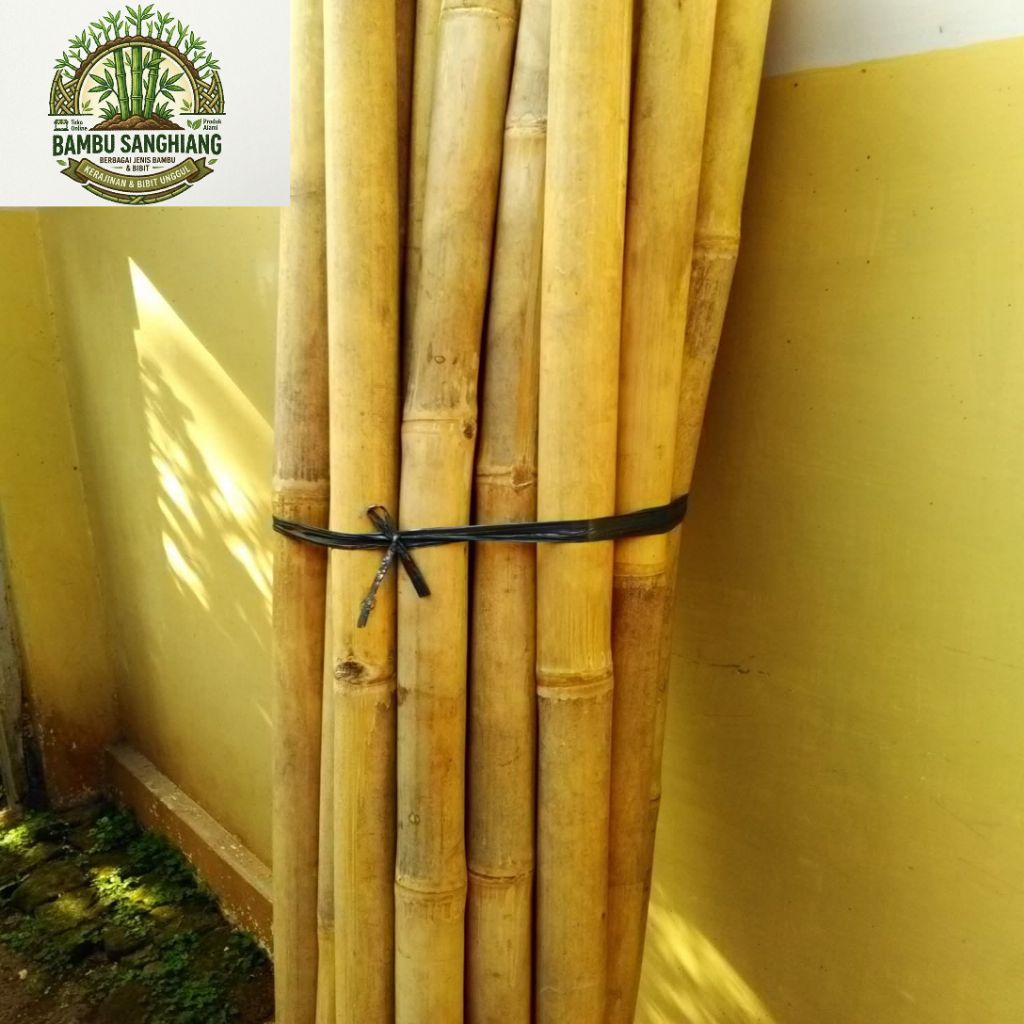 Tongkat bambu/Tongkat Pramuka ukuran 160 cm