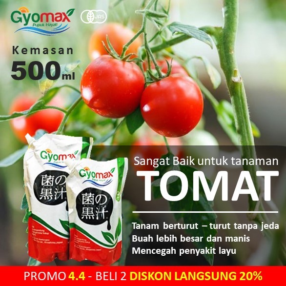 PUPUK TOMAT - GYOMAX - 500 ML