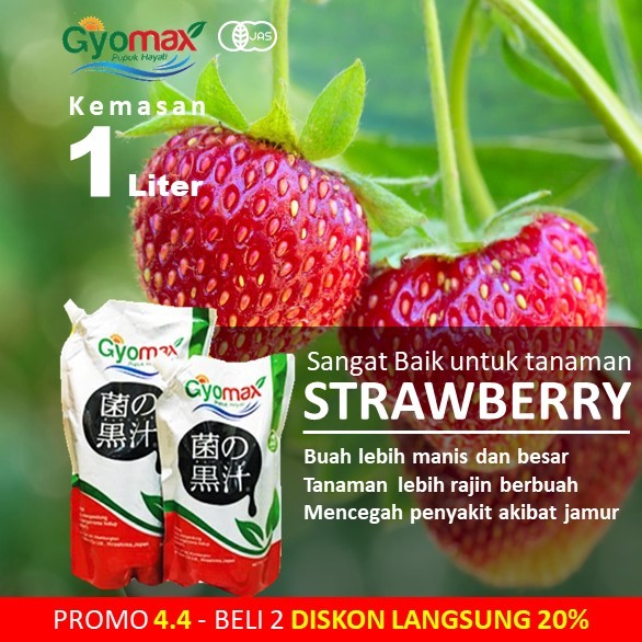 PUPUK STRAWBERRY - GYOMAX - 1 LITER