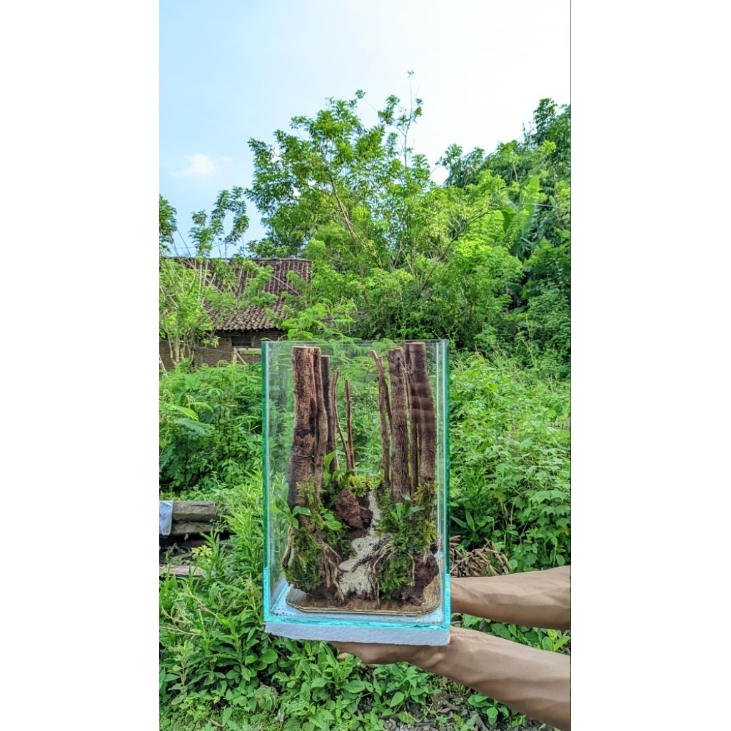 custom private tank tower hutan aquascape aquarium