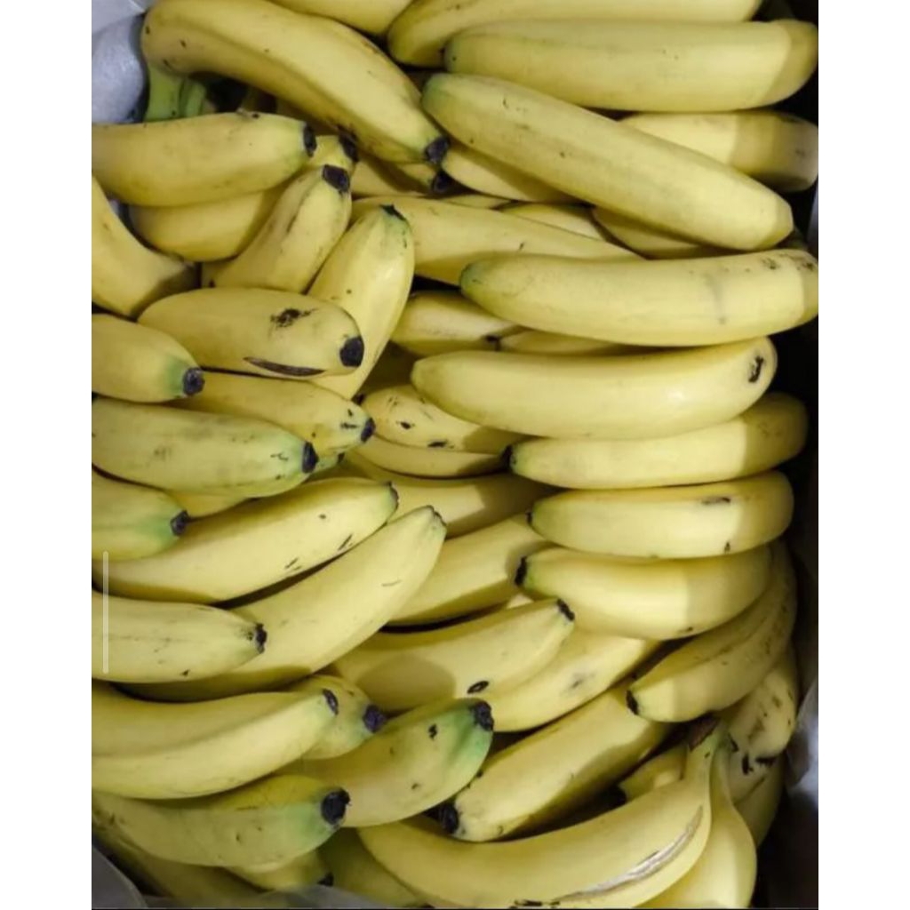 Pisang Cavendis Sunpride segar 13 kg/box