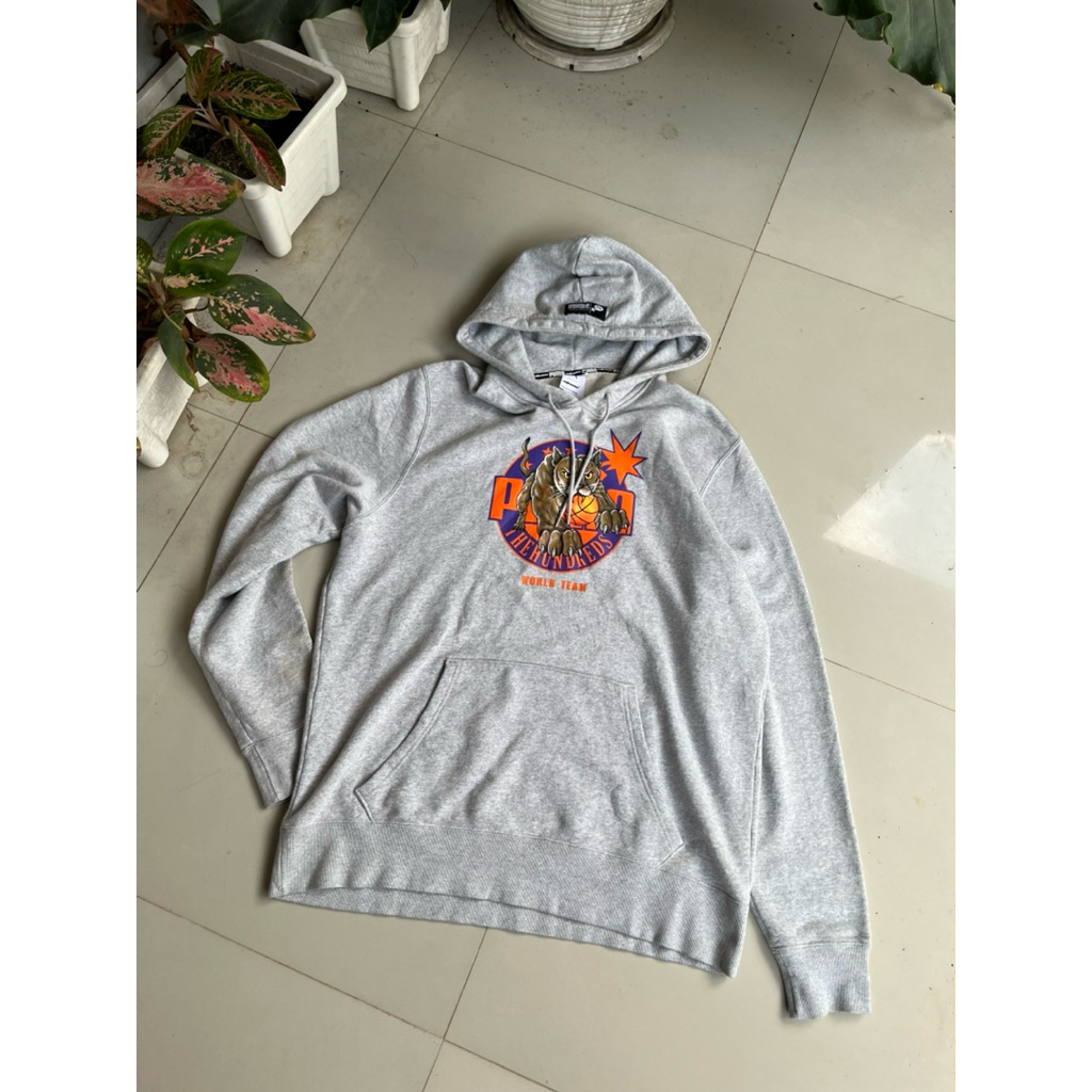 the hundreds x puma hoodie