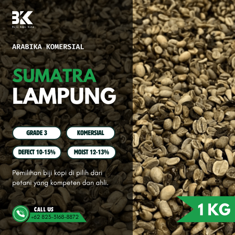 Grade 1 Komersial Lampung Green Beans | Biji Kopi Mentah