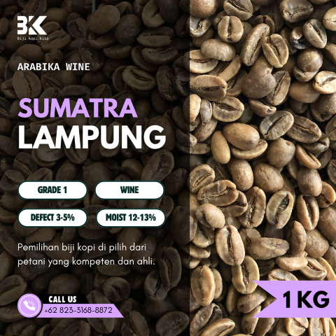 Grade 1 Wine Lampung Green Beans | Biji Kopi Mentah