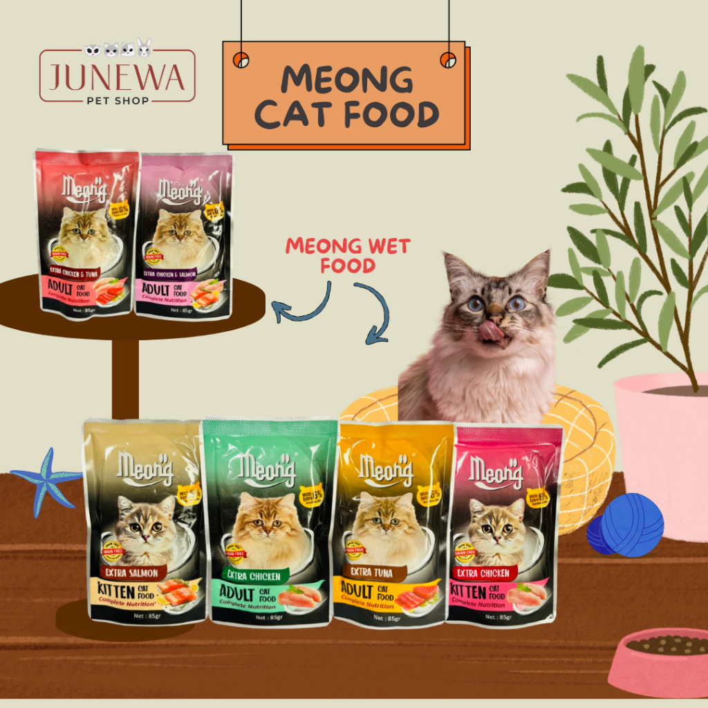 Meong Cat Pouch Makanan Kucing Basah