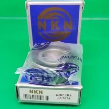Lahar 6202 RS NKN/laher nkn/bearing nkn