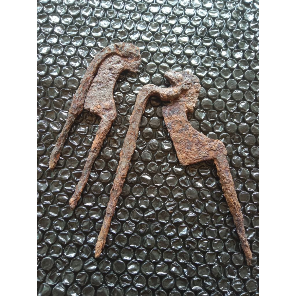 duokacip temuan darat