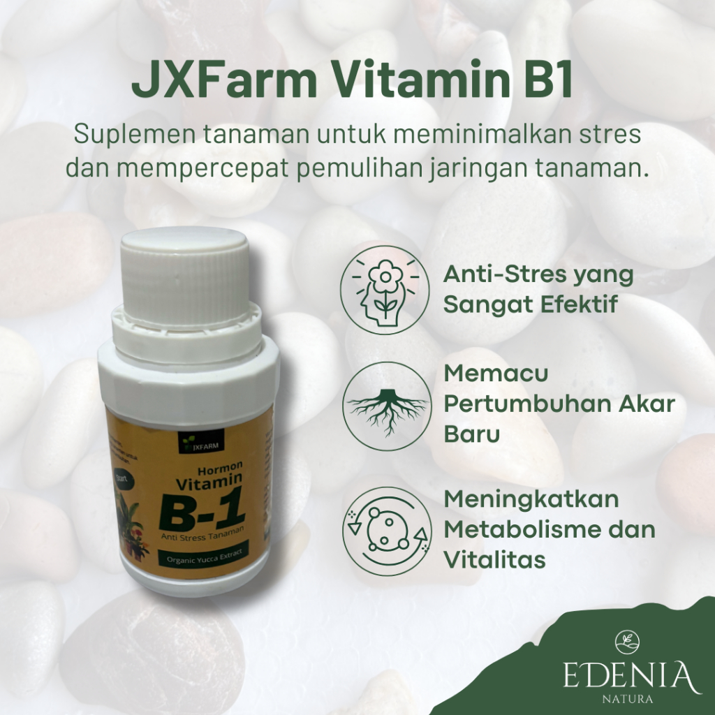 JXFarm Vitamin B1 Tanaman Anti Stress – Perangsang Akar Tanaman Hias Sayur Buah Bonsai