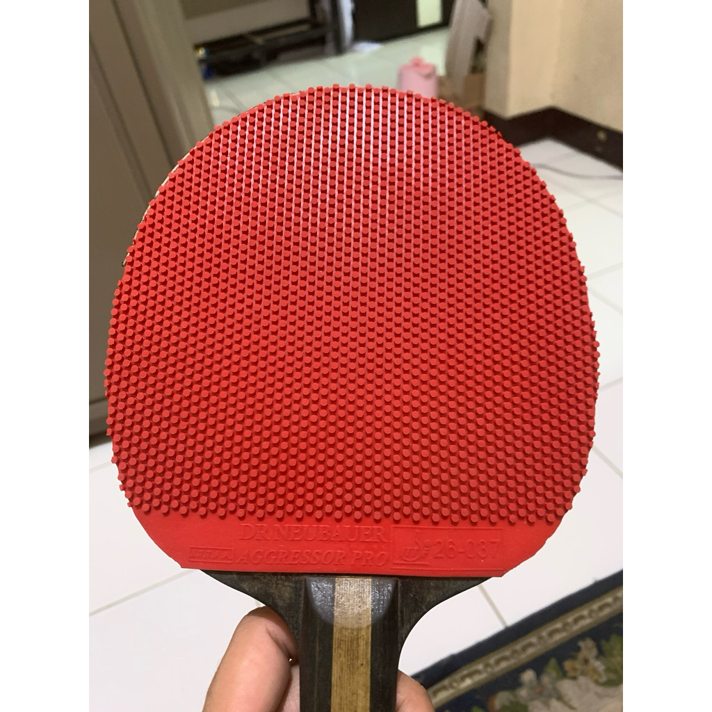 dr. neubauer aggressor pro