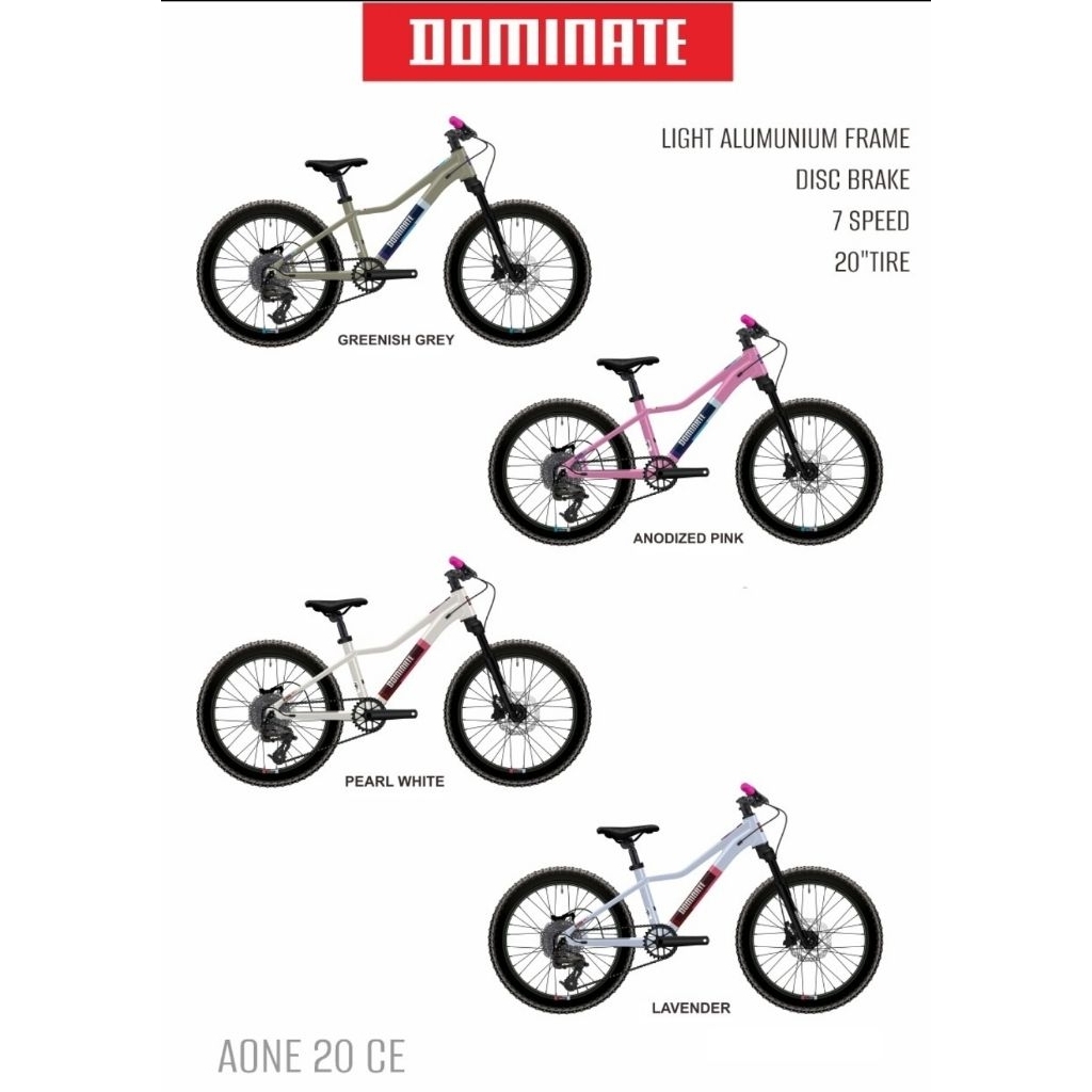 Sepeda MTB Anak Dominate Aone 20 CE - sepeda ukuran 20 inch