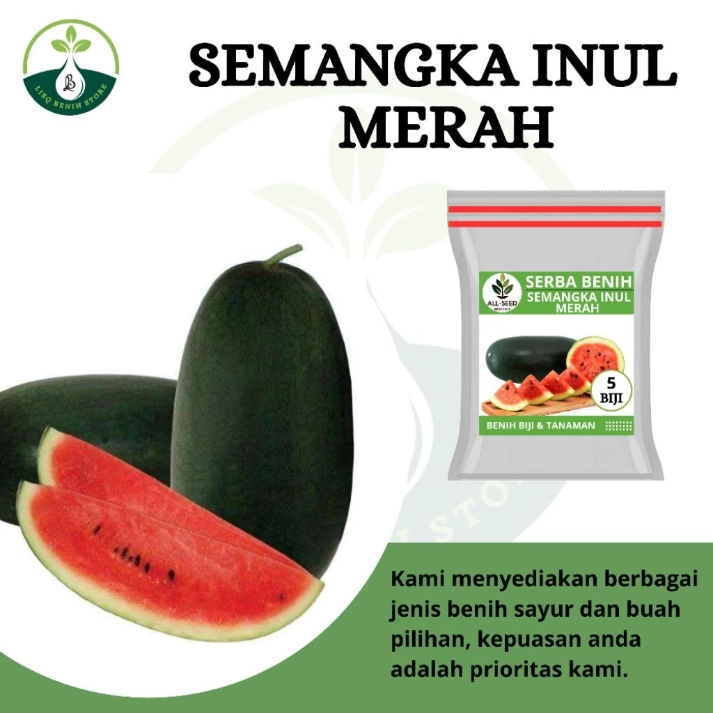 { 5 BUTIR BIJI } Benih semangka inul merah / bibit semangka inul / semangka inul merah / bibit seman