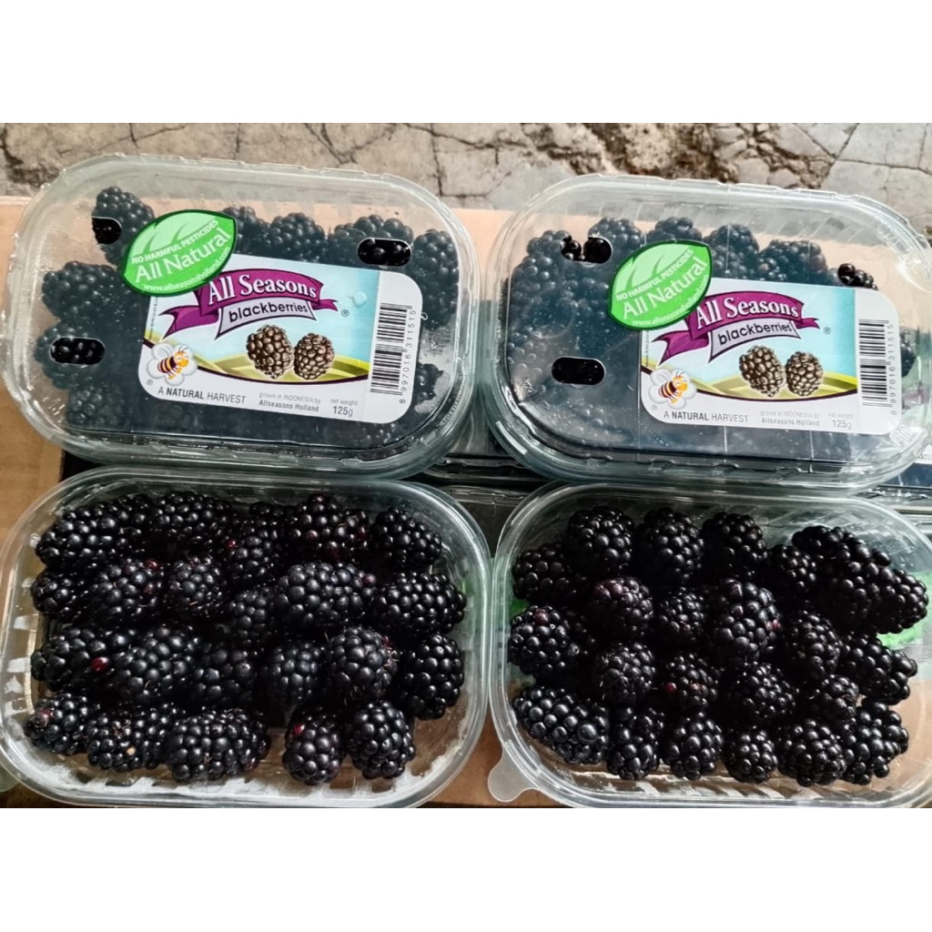 Buah Blackberry All Seasons fresh / Buah Blackberry Lokal / Pack